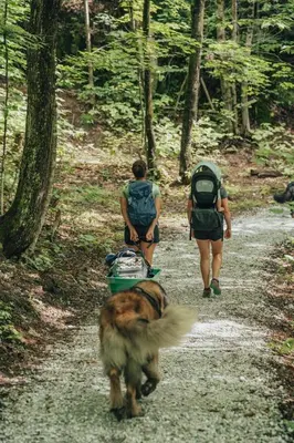 two people and a dog walking down a trail at Cabin Zoobox 55 in Eastman