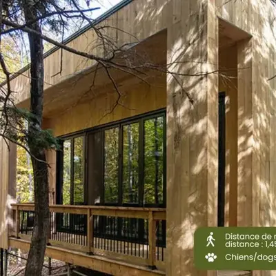 Cabin Zoobox 62