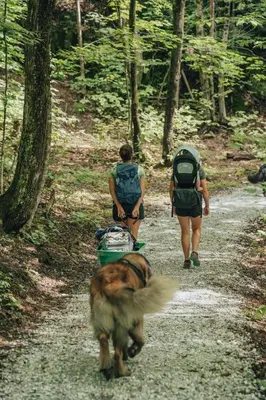 two people and a dog walking down a dirt trail at Cottage 18 place de la Réserve in Eastman
