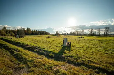 a field of grass with the sun in the background at MiniBora Le beaumier - Cantons-de-l'Est in Bury