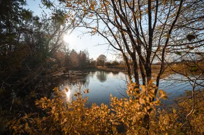 a view of a river with the sun reflecting on the water at MiniBora Le moka - Cantons-de-l'Est in Bury