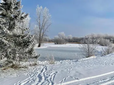 a snow covered field with a river and trees at Chalet 3 - Domaine de l Archipel in Sorel