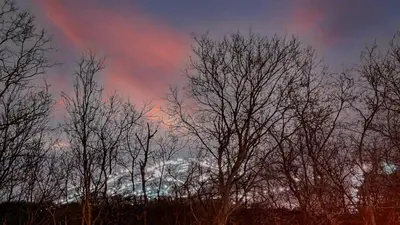 a group of trees with a rainbow in the sky at 853 condo in Bromont Vieux Village mountain view in Bromont