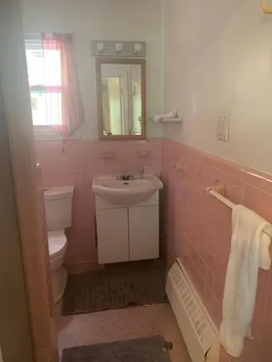 a pink bathroom with a sink and a toilet at Montréal Downtown Private Rooms Across Polytechnique in Montréal
