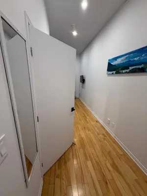 a hallway with a door and a painting on the wall at 1 bedroom apartment near Montreal downtown with parking in Montréal