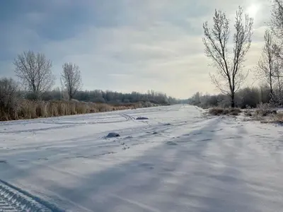 a road covered in snow with trees on the side at chalet 4 - Domaine de l'Archipel in Sorel