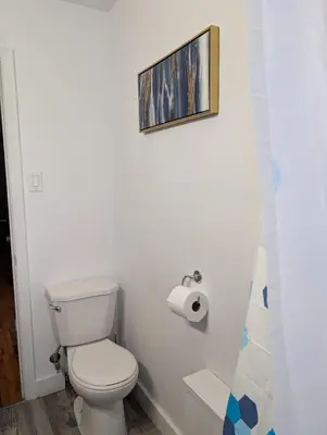 a bathroom with a toilet and a picture on the wall at Chambre privée 5 min Université Hôpital in Trois-Rivières